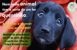 Asfa: Campanha do agasalho acontece amanhã