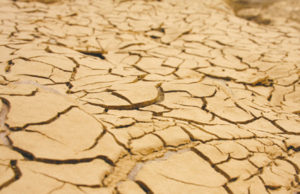 Degradação é um dos fatores de destruição do solo