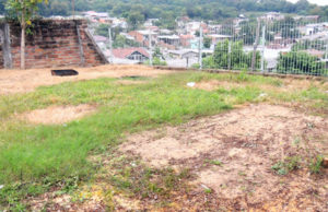 Afubra vai implantar horta para crianças da Copame