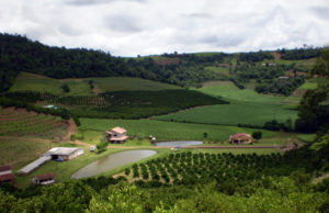 Produtores rurais | Governo abre crédito de R$ 12 bilhões