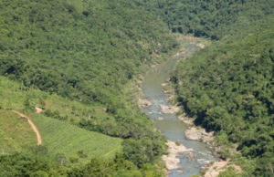 MEIO AMBIENTE | Brasil está entre países do G20 com maior proporção de área protegida
