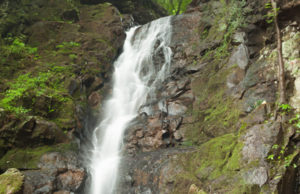 Reeducação ambiental para além da sustentabilidade