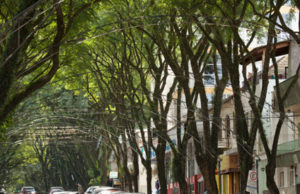 Túnel Verde: audiência será aberta à comunidade em geral