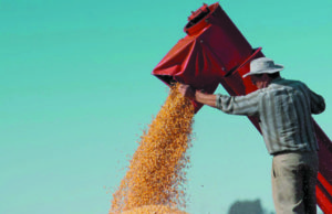 BANCO DO BRASIL: R$ 10,5 bilhões destinados ao plano safra