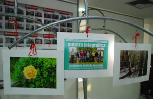 A Natureza na Visão dos Avós