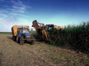 Esalq/USP inscreve para MBA em Agronegócio