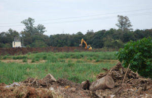 Arroio Lajeado recebe dessasoreamento