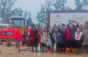Freio de Ouro repousa em Santa Cruz do Sul