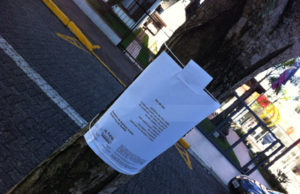 "Um poema em cada árvore" retorna a Santa Cruz