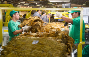 SindiTabaco em defesa de uma regulamentação equilibrada