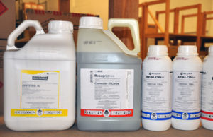 Produtores gaúchos podem devolver embalagens de agrotóxicos