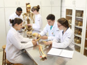 Laboratório de Anatomia completa 15 anos
