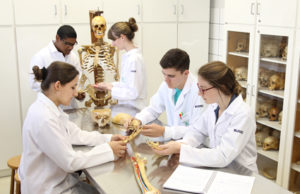 Laboratório de Anatomia completa 15 anos
