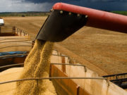 PIB da agropecuária cresce 3,9% no primeir trimestre
