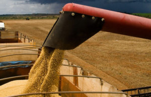 PIB da agropecuária cresce 3,9% no primeir trimestre