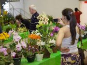 Corede/VRP promove Fórum da Diversificação na Expoagro