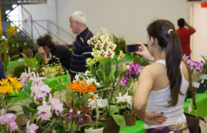 Feira de Descontos: Bom público pode conferir evento
