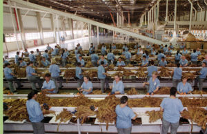 Santa Cruz deverá ter 17% de crescimento no retorno do ICMS