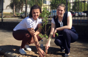 Meio ambiente: "Ana Nery Plantando o Amanhã"