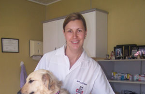 A importância da posse responsável