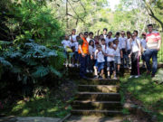 Cinturão Verde ganha atenção