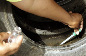 Prefeitura de Santa Cruz vai realizar mutirão para frear os casos de dengue