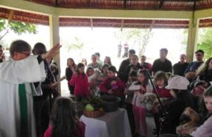 Parque São Luis ficou movimentado com a Bênção dos Animais