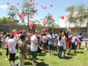 Apae comemora seus 50 anos