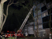 Corte de tipuana deixou quadra do centro sem luz