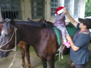 Ação: Brigada Militar e Apae desenvolvem Ecoterapia