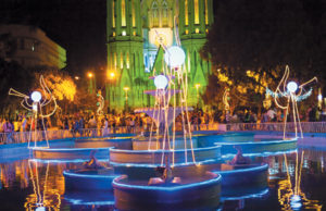 Neste inverno, adote uma árvore