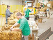 Nos Bastidores – 32