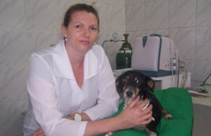 Leishmaniose: animais precisam de atenção