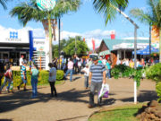 Expoagro Afubra será lançada amanhã