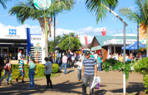 Expoagro Afubra será lançada amanhã