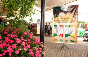 Uma viagem no tempo com a cultura italiana