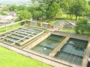 Nos Bastidores – 83