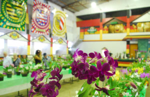 Cores e flores encantam santa-cruzenses