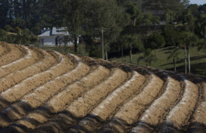Incentivo às práticas conservacionistas
