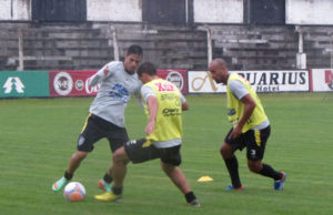 Galo: agora ou em 2015