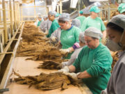 Agenda 2020: Santa Cruz é o município que mais emprega na região