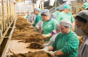 Agenda 2020: Santa Cruz é o município que mais emprega na região