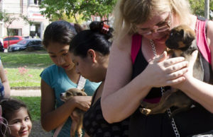 Feira de Animais acontece nesta quarta-feira