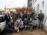 Adote uma árvore por uma cidade mais arborizada