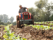 Criação de Fundo Municipal de Agricultura visa melhor atender o interior