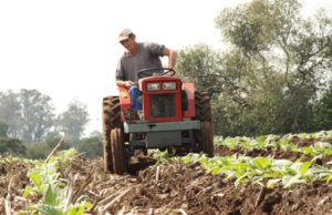 Criação de Fundo Municipal de Agricultura visa melhor atender o interior