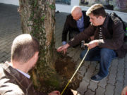 Começam os estudos no Túnel Verde