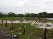 Uma semana de tempestades e prejuízos