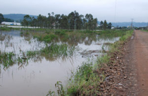 Nível do Rio Pardinho chega a 7,2 metros