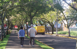 Administração Municipal estuda restringir circulação de veículos na Av. do Imigrante